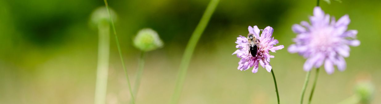 Slider_1